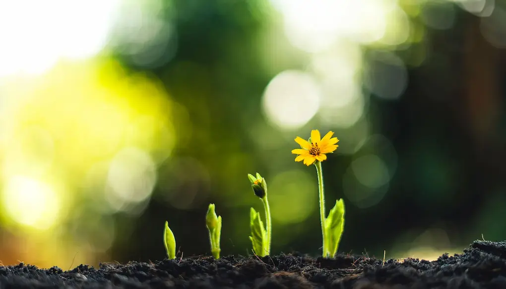 Boost Your Career with Spoken English Classes at Oxford School of English in Delhi