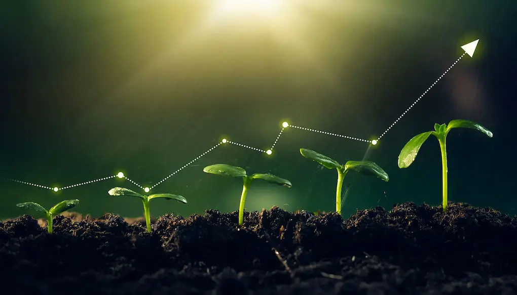 Achieve Target IELTS Bands with Top Classes in Laxmi Nagar