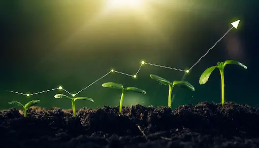 Results of Basic English Classes and Conversation Practice in Oxford School of English