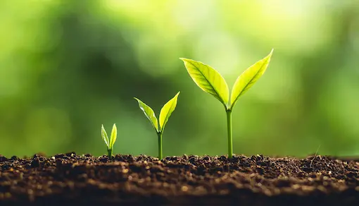 Outcome of Conversation Practice in Advanced English Classes at Oxford School of English